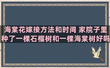 海棠花嫁接方法和时间 家院子里种了一棵石榴树和一棵海棠树好吗